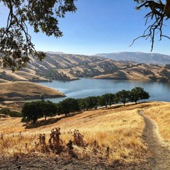 Halsey -Drive (remix)