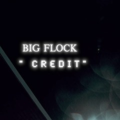 Big Flock - Credit