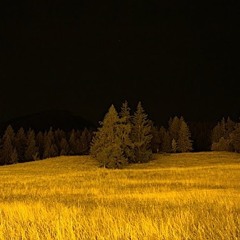 Send Me Up - prod noevd