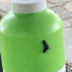 9-14-2025 ESD mixdown.m4a