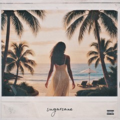 young rich - sugarcane