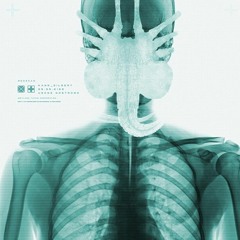 Wednesday 20 th May 2020