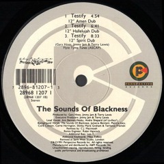 Sounds Of Blackness - Testify (12" Amen Dub)