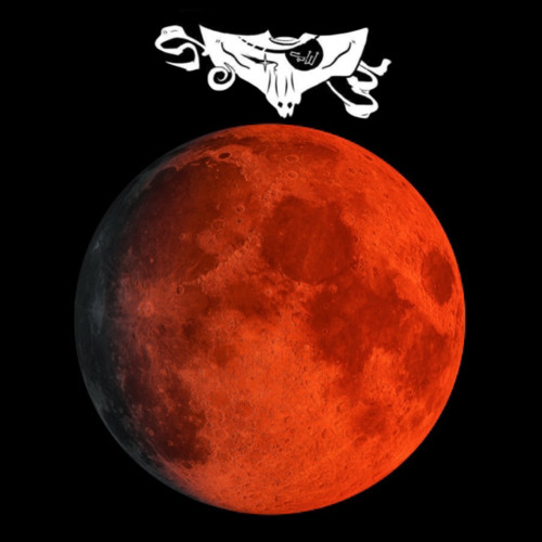 TO THE MOON (420 SPESH)