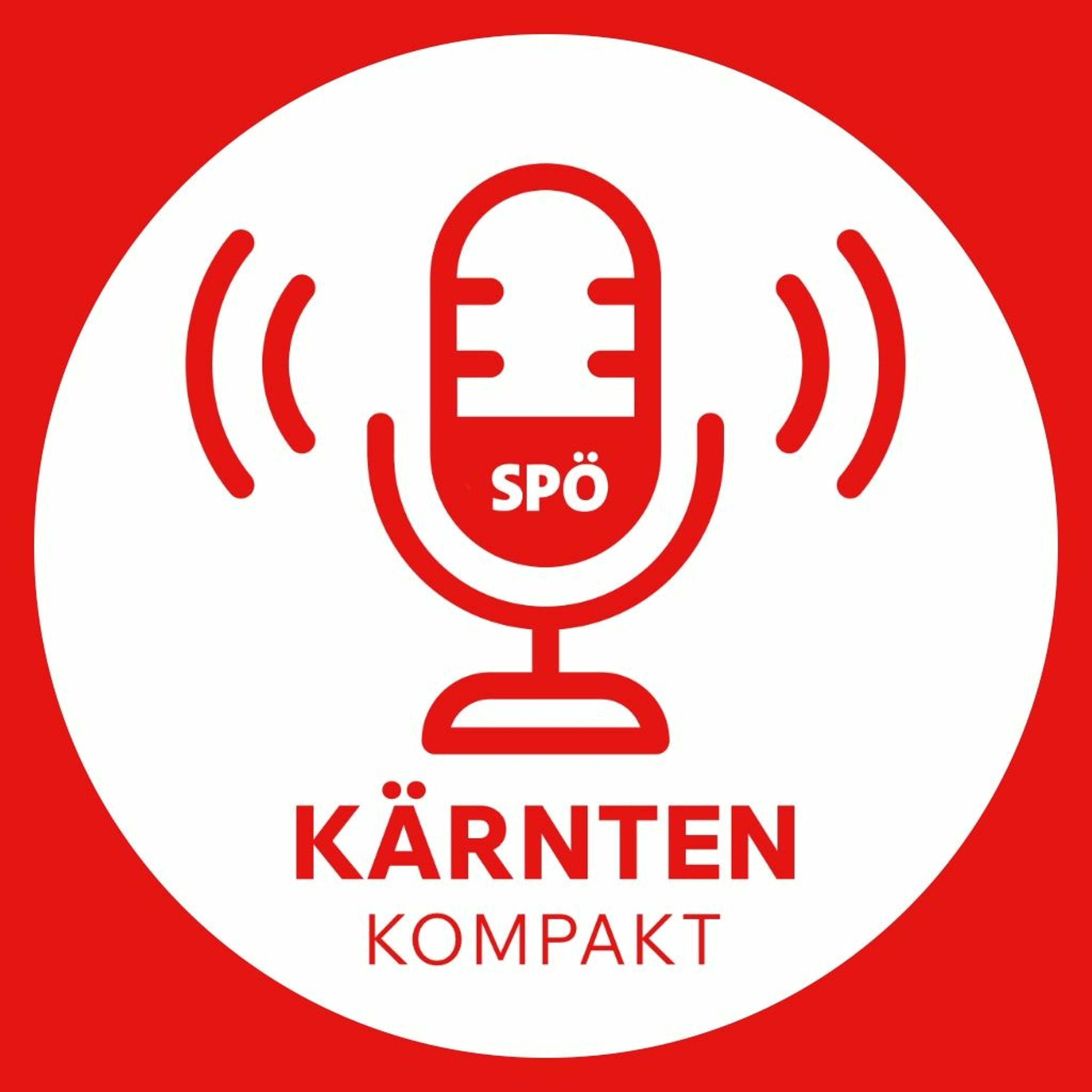 2. Sendung vom 19-1-2024 episode artwork