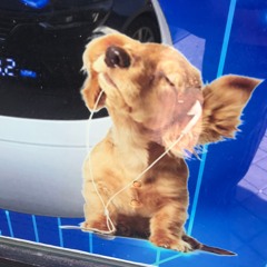 My World Is Upside Down