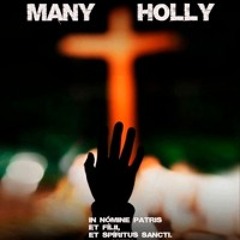 Many holly - tech house