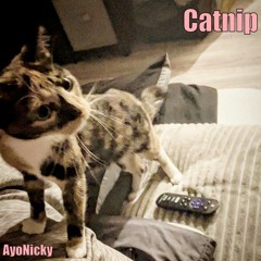 Catnip. (Instrumental)