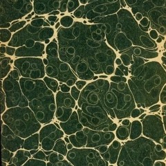 Vines/Mycelium