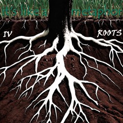 IV - Roots