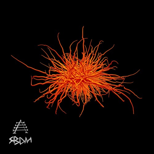 TL PREMIERE : 6SISS - Permalife [Strange But Dance Music]