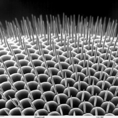 NEW TECHNO ENERGY BOOSTER