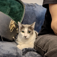 Sleeping While We Can