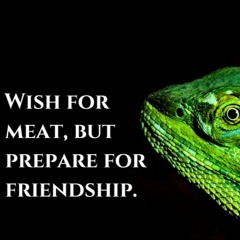 SMRTMM 124 C#m 03 [NO fx,mxn,mstr]