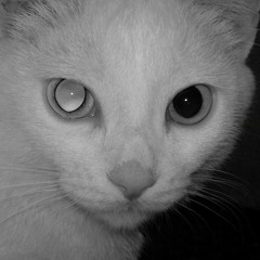 hayat cok güzel ama, - lorche (EmptyArena)