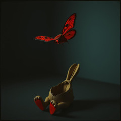 Black Moth Lovers 2 4