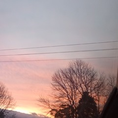 LILSNEAK~ - some_days_I_cant_erase.m4a 2025-09-14 20_09.m4a