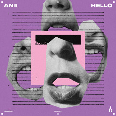 ANII - Hello - Truesoul - TRUE12182