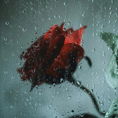 Born to Be a Rainstorm