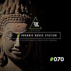 Zen Organic House #070 - Melodies for the Mind | 🛋️ Deep Focus dj mix session 慢摇