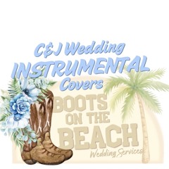 Z_C&J Cocktail Hour & Wedding Music