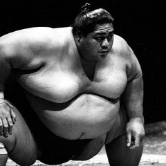 The Sumo Wrestler
