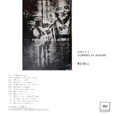 PWCCA - Fracture Index [SOMA SELECTS Premiere]