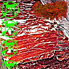 I F Y M