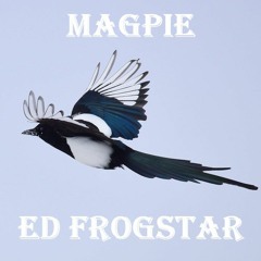 Another Fucking Waste Of Time