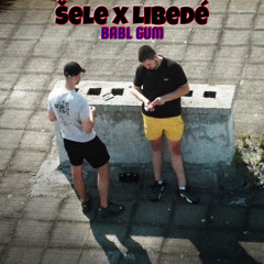 Šele x Libede-BABL GUM