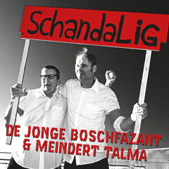 De Jonge Boschfazant & Meindert Talma (feat. Das Audio Combo)