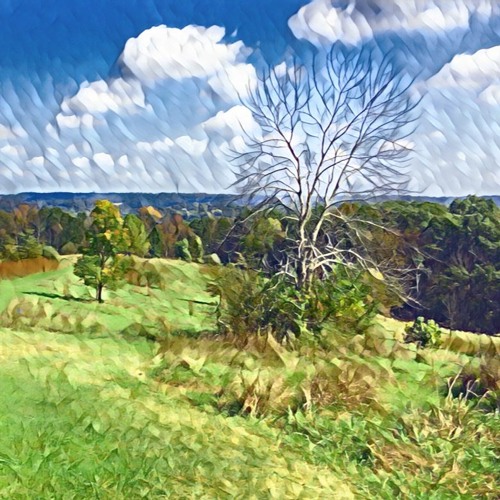 Trail Of The Uprooted