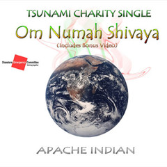 Om Numah Shivaya (Tsunami Release)