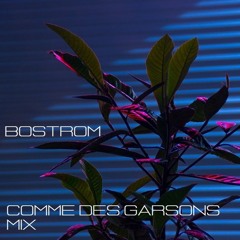 BOSTROM - Comme Des Garsons 02 (mix)
