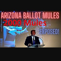 Arizona Ballot Mules - The Source Of These Crimes Revealed - Jovan Hutton Pulitzer