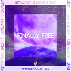 North Sky & Skylimit - Finally Free (Intermach Remix)