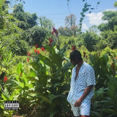 WAGWAN (Freestyle) [Prod. by NVRMNDFRVR]