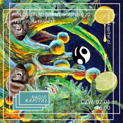 Holoputi Migrant Sound 020 (trntl insct) for radio kapital