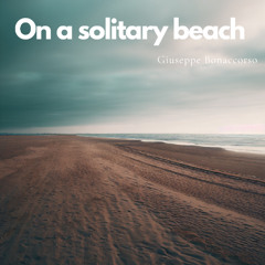 On a solitary beach
