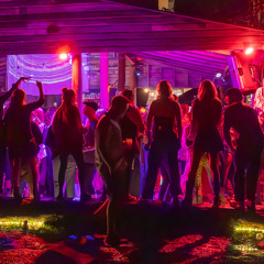 Lord Sut Live at Nudge Nudge Wink Wink 07/06/2025 Closing Set