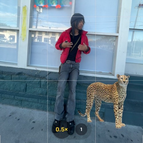 CHEETAH (p. dexwil + cammglo)