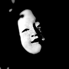 9-12-25 (lady sings the blues)