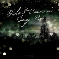 Didn't Wanna Say No (Original Mix)