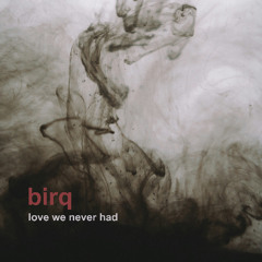 Love We Never Had
