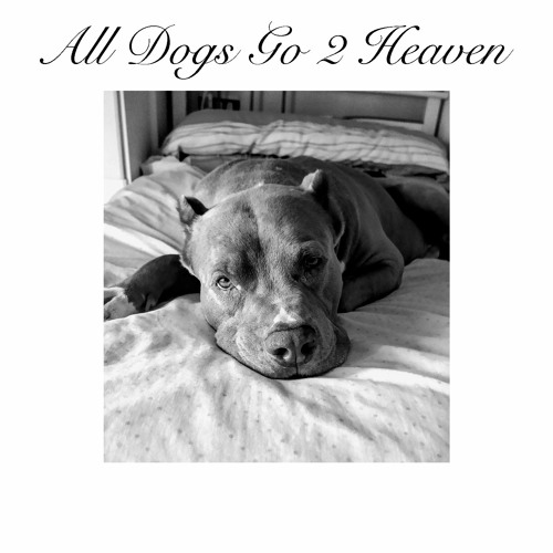 Get It Girl (ALL DOGS GO 2 HEAVEN OUT NOW @ BANDCAMP)