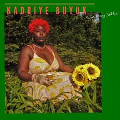 Sugar Honey Ice Tea .mp3