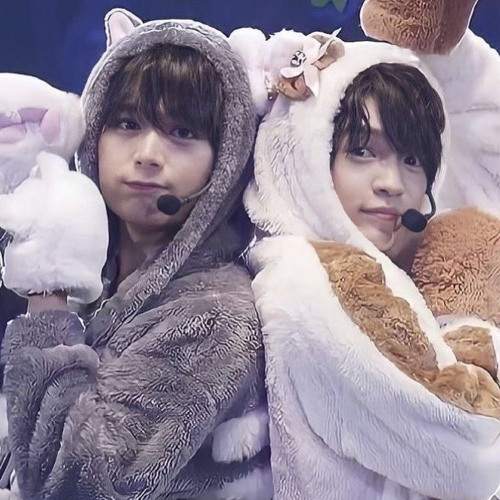 Stream なにわ男子'西畑大西' - 猫中毒ฅ^ ̳• ·̫ • ̳^ฅ🎶 by