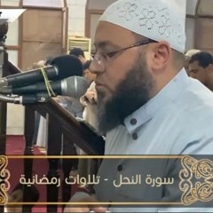 أتى امر الله فلا تستعجلوه سبحانه و تعالى عما تشركون..تلاوة من سورة النحل للشيخ احمد السعيد مندور..🌹