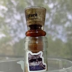 Мёртвая голова