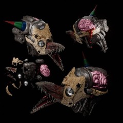 01 p. تاكيزافا